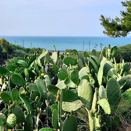 Villa Via del Mare Termoli Esterno foto