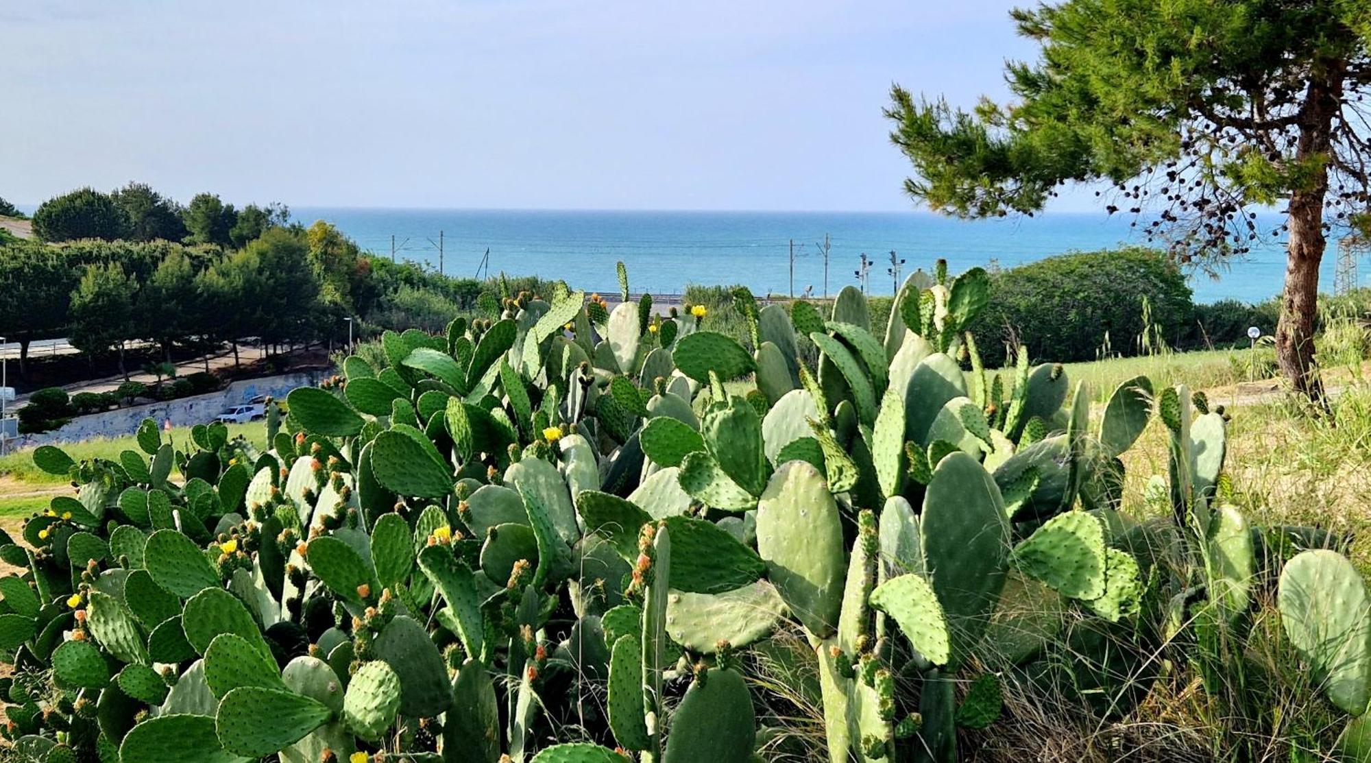 Via Del Mare Holiday home Termoli